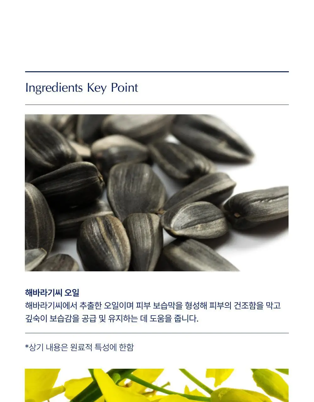 [대용량] 바이오가 썬플라워씨드 페이스 앤 바디오일 1000ml 상세페이지 8